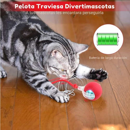 Pelota Traviesa Divertimascotas