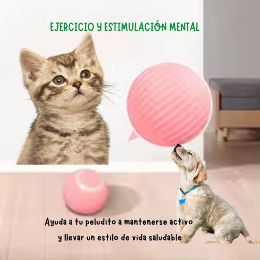 PetFun Interactiva