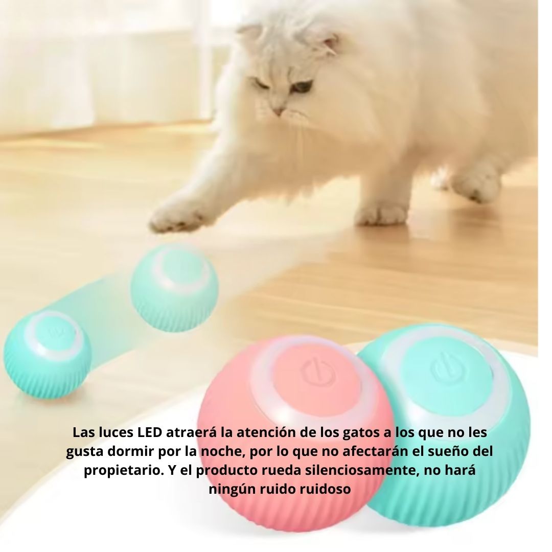 PetFun Interactiva