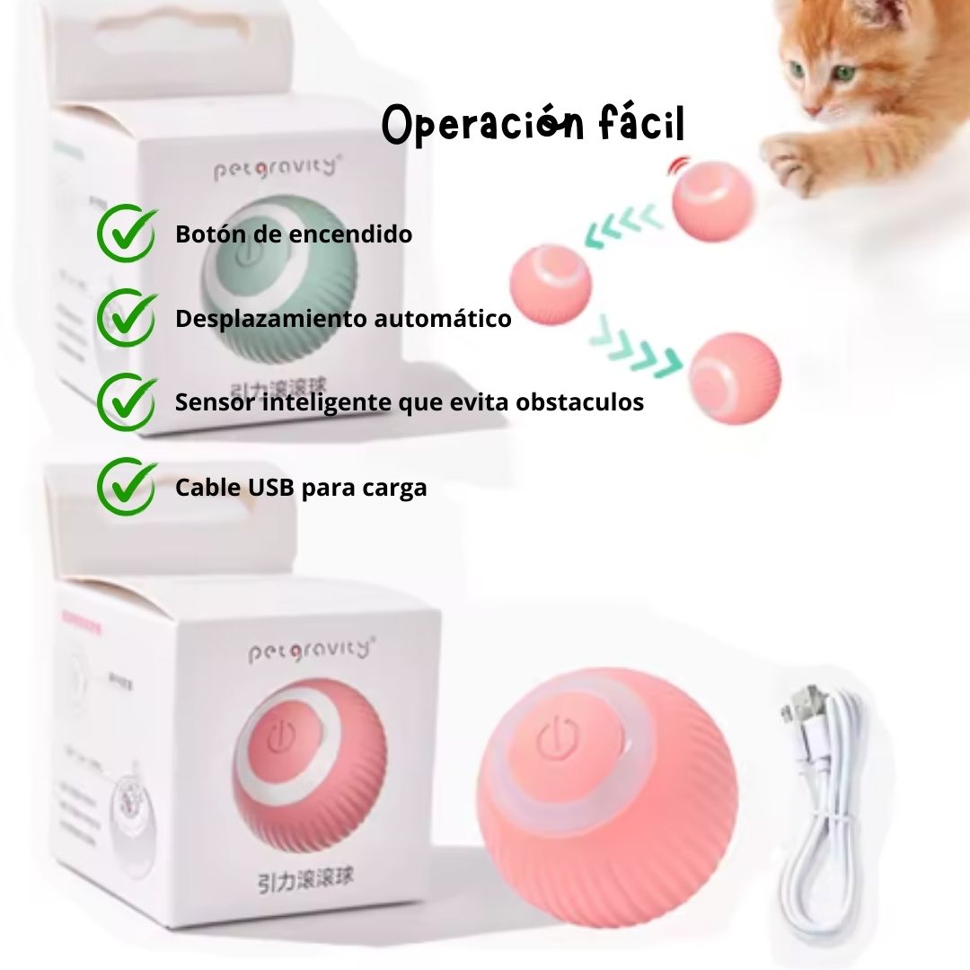 PetFun Interactiva