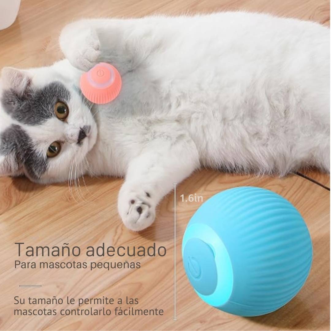 PetFun Interactiva