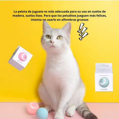 PetFun Interactiva